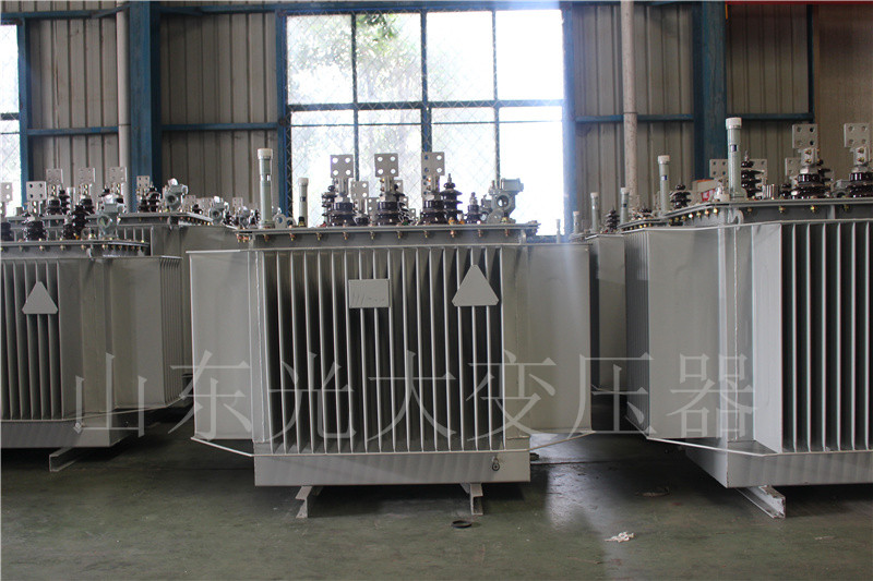 宁武S20-500KVA/10KV
